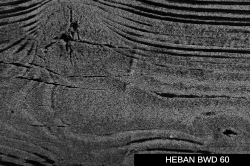 ../images/plaster/palette-ws/HEBAN BWD 60.png